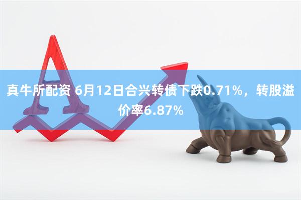 真牛所配资 6月12日合兴转债下跌0.71%，转股溢价率6.87%