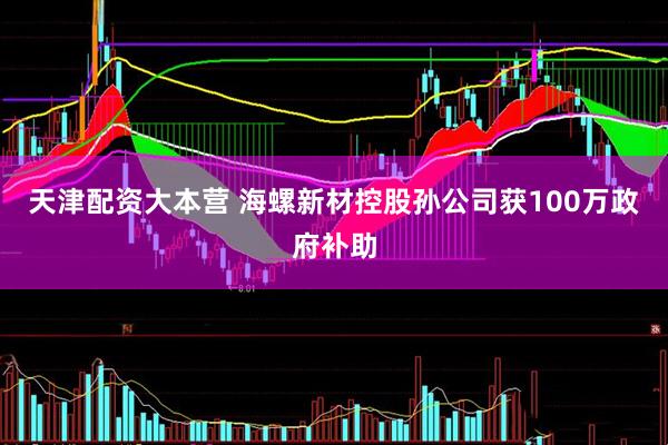 天津配资大本营 海螺新材控股孙公司获100万政府补助