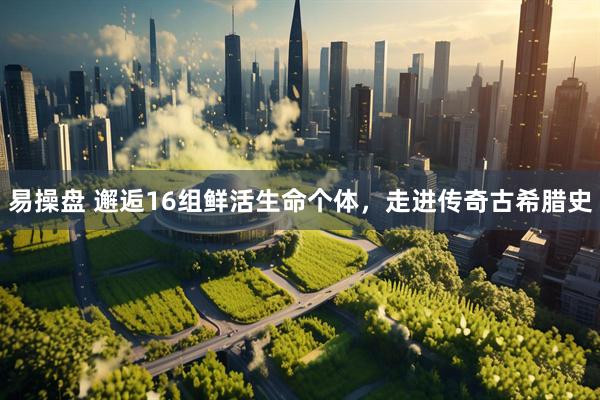 易操盘 邂逅16组鲜活生命个体，走进传奇古希腊史