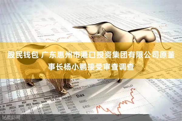 股民钱包 广东惠州市港口投资集团有限公司原董事长杨小鹏接受审查调查
